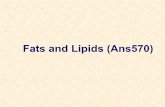 Fats and Lipids (Ans570) - Iowa State Universityduahn/teaching/ANS 570/Fats and lipids.pdf · Fats and Lipids Definition: water insoluble compounds Most lipids are fatty acids or