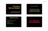 Pathology of Nervous System Nervous  · PDF file• Tumors of the Nervous system Basic Pathologic ... • Spread via peripheral nervous system • Acute meningitis