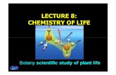 Botany scientific study of plant life - Arif Hermanto's Blog · PDF fileBotany scientific study of plant life. ... Botany covers the study of : Structure, ... reproduction, development,