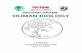 SECOND GRADE HUMAN BIOLOGY - k-12 Science · PDF fileSECOND GRADE HUMAN BIOLOGY 2 WEEKS ... Math/Science Nucleus ©1990,2000 5 ... purchased the module you can make baggies of children's