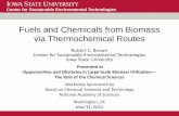 Fuels and Chemicals from Biomass via Thermochemical Routesdels.nas.edu/resources/static-assets/bcst/miscellaneous/Brown... · Fuels and Chemicals from Biomass via Thermochemical Routes.