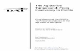 The Ag Bank’s Turnaround: From Insolvency to Profitspdf.usaid.gov/pdf_docs/PNACT979.pdf · Turnaround: From Insolvency to Profits ... Badamtsetseg Dash-Ulzii ... The Ag Bank’s