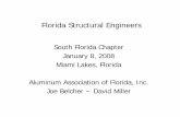 Florida Structural Engineers - aaof. · PDF fileFlorida Structural Engineers South Florida Chapter January 8, ... Beam Span = 24 ft Beam Stitching: ... [3.4.7 for beam halves]