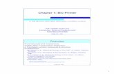 Chapter 1: Bio Primer - Columbia · PDF fileChapter 1: Bio Primer 1.1 Cell Structure; DNA; RNA; transcription; translation; proteins COMS 4761 --2007 2 ... COMS 4761 --2007 8 The Central