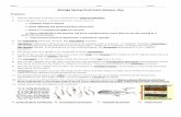 Biology Spring Final Exam Review- Key · PDF fileKingdom, phylum and class 6. ... protista eukaryotic both both Some have cellulose Paramecium, ... Underground structure that help