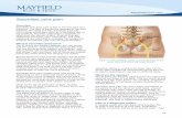 Sacroiliac joint pain - Mayfield Brain & Spine ... · PDF file>1 1 Overview Sacroiliac (SI) joint pain is felt in the low back and buttocks. The pain is caused by damage to the joint