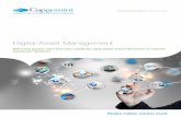 Digital Asset Management - Capgemini · PDF fileDigital Asset Management Delivering greater value from your assets by using better asset information to improve investment decisions