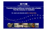 WG2 G2 tile industry draft.pp - oecd. · PDF fileThe Ceramic Tile Cluster comprises the group of activities related to ceramic tile manufacturing, from floor and wall tile fabrication,