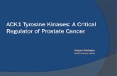 ACK1 Tyrosine Kinases: A Critical Regulator of Prostate · PDF fileLearners Objectives ... ACK1 inhibitor sensitizes Enzalutamide-resistant CRPC cells, opening new treatment option
