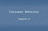 Consumer Behavior - University of Rio · PPT file · Web view · 2015-09-01Consumer Behavior. Chapter 6. What is Consumer Behavior? ... Perception. Learning. Values, Beliefs & Attitudes