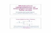 03-Metabolism triacylglycerols fatty acids 2che1.lf1.cuni.cz/html/Lipids03.pdf · Main conversion steps of triacylglycerols and fatty ... • ATP • CoA • enzyme ... 3 3 2 C H