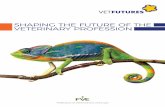 SHAPING THE FUTURE OF THE VETERINARY · PDF fileFVE president “The best way to predict your ... Education (EAEVE) and VetCee. 2. Identify and encourage all veterinarians (including