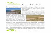 The Irish coastline Sand dunes - Notice · PDF fileThe Irish coastline stretches for approximately 5,631 km and this area is rich in ... Common Saltmarsh-grass ... the Belted Beauty