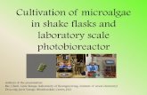 Cultivation of microalgae in shake flasks and laboratory ...bioreactors.net/wp-content/uploads/2015/10/Photobioreactor... · Cultivation of microalgae in shake flasks and laboratory
