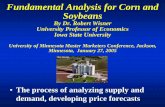 Fundamental Analysis for Corn and · PDF fileFundamental Analysis for Corn and Soybeans By Dr. Robert Wisner University Professor of Economics Iowa State University University of Minnesota