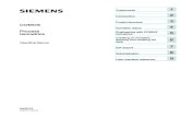 Isometrics - Siemens · PDF file3.1 Organization of isometric pipe engineering ... 5 Engineering with COMOS Isometrics