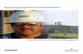 Rosemount Oil and Gas Instrumentation well problems and protect your surface equipment Tubing, Casing, and Flow Line Pressure Track/report well performance, eliminate billing