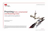 Pruning fruit, ornamental and flowering trees - Fleming's · PDF fileFramework pruning and detail pruning Pruning can be divided into two parts ‘Framework pruning’ is exactly that;