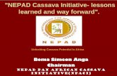 'NEPAD Cassava Initiative- lessons learned and way forward'. · PDF fileNigeria has set a vision to launch a new fuel ethanol industry ... Promote National Cassava Task Forces ...