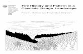 Fire History and Pattern in a - fs.fed.us History and Pattern in a ... Mr. Morrison held various positions with the USDA Forest Service ... although burning in a single fire episode