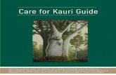 Care for Kauri Guide - Alter- · PDF file · 2012-07-30Care for Kauri Guide ... to withstand sea-water conditions (ideal for boat masts and hulls) ... They begin to drop the lower