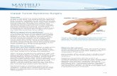Carpal Tunnel Syndrome Surgery 1 Overview Carpal tunnel syndrome causes tingling, numbness, or pain in the hand. The wrist bones and ligament form a tunnel, a passage for the median