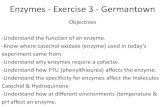 Enzymes - Exercise 3 - Science Learning Center [licensed ...sciencelearningcenter.pbworks.com/f/3-Enzymes.pdf · Enzymes - Exercise 3 ... Catalysts increase the rate of a chemical