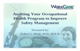 Auditing Your Occupational Health Program to Improve · PDF file · 2006-06-21Auditing Your Occupational Health Program to Improve Safety Management ... 1.3 Health Information Systems