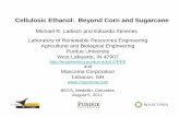 Cellulosic Ethanol: Beyond Corn and Sugarcane BECA 2011 Aug 6 2011... · Cellulosic Ethanol: Beyond Corn and Sugarcane ... Syrup ~65 oBrix Juice 10-15 oBrix ... with business experience