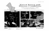 Forest Insect and Disease Conditions - Forests | Natural ...cfs.nrcan.gc.ca/pubwarehouse/pdfs/3514.pdf · Douglas-fir tussock moth, ... * Summary of pest problems in young stands,