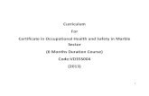 Curriculum For Certificate in Occupational Health and ..._Health_in_Marble.pdf · Curriculum For Certificate in Occupational Health and Safety in Marble ... 2.Ear Plug 3.Safery shoes