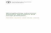 Strengthening coherence between agriculture and · PDF fileStrengthening coherence between agriculture and social protection Zambia country case study report Luke Harman Overseas Development