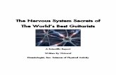 The Nervous System Secrets of The World’s Best … Nervous System Secrets of The World’s Best Guitarists A Scientific Report Written By Virtuwul Kinesiologist, Bsc. Science of