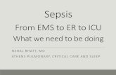 Sepsis From EMS to ER to ICU What we need to be doing EMS to ER to ICU What we need to be doing ... Wang et al, 2010 1/3 ED ... Sepsis From EMS to ER to ICU What we need to be doing