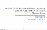 A Brief Introduction to Deep Learning and its …mcl.usc.edu/wp-content/uploads/2014/05/shangwen.pdfA Brief Introduction to Deep Learning and its Application to Vision Recognition