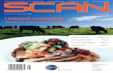 Issue No. 25 September 2008 Livestock · PDF file · 2017-04-21Issue No. 25 • September 2008 update on gS1nettm ... Parag, the e-commerce ... true e-commerce a reality in the grocery