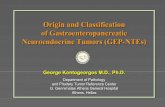Origin and Classification of Gastroenteropancreatic ... 2006/gepnet/kontogeorgos.pdf · Origin and Classification of Gastroenteropancreatic Neuroendocrine Tumors ... Department of