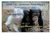 Pathology of the skin - people.upei.capeople.upei.ca/hanna/Skin-grossLab/FAML-skin-lab.pdf · Primary versus Secondary skin lesions Shannon Martinson ... Contagious exanthema (Orf)