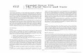 62 Cranial Nerve VII: The Facial Nerve and Taste Cranial Nerve VII: The Facial Nerve and Taste H. KENNETH WALKER ... show you teeth, ... of the upper facial muscles with a contralateral