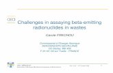 Challenges in assaying beta-emitting radionuclides in · PDF fileChallenges in assaying beta-emitting radionuclides in wastes ... AREVA NC for the qualification of neutronic codes,