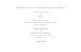 Modeling Cations in a Contaminant Plume in Saturated · PDF file · 2006-09-01Modeling Cations in a Contaminant Plume in Saturated Zone A Thesis Presented by ... Modeling Cations