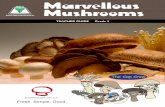 Marvellous Mushrooms - The Cap · PDF fileMarvellous Mushrooms ... • investigate similarities and differences in the characteristics of ... grow and change and have distinct characteristics