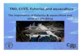FAO, CITES, fisheries and aquaculture · PDF file · 2014-01-29FAO, CITES, fisheries and aquaculture ... State of World Fisheries & Aquaculture FAO 2010 4. 5 State of World Fisheries