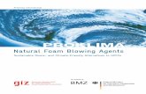 Natural Foam Blowing Agents - Startseite · PDF filelication on natural foam blowing agents as ... and stimulate project ideas for conversion to natural blowing ... consist of organic