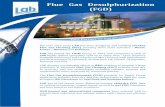 Flue Gas Desulphurization (FGD) - lab.fr · PDF fileFor over sixty years LAB has been designing and building turnkey Flue Gas Cleaning (FGC) covering three main activities : Waste,