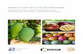MANGO EXPORTS FROM TANZANIA - International … on the Mango sector... · MANGO EXPORTS FROM TANZANIA BUSINESS PROCESS ANALYSIS FOR ... CIF Cost, Insurance, Freight CO Certificate