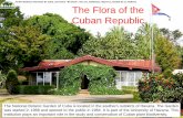 Jardín Botánico Nacional de Cuba, Carretera “El Rocío ... · PDF fileJardín Botánico Nacional de Cuba, Carretera “El Rocío”, Km 3.5, Calabazar, Boyeros, Ciudad de La Habana