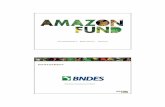 Amazon Fund 2010.09.14 - United  · PDF fileASSETS EQUITY DISBURSEMENT WORLD BANK ... FLOW CHART The Forestry Service ... monitoring of projects BNDES Approval and