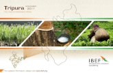 Tripura NOVEMBER 2011 - Business Opportunities in India ... · PDF fileManu, Khowai, Feni, Doloi, Muhuri ... Tripura is rich in natural resources such as natural oil and gas, rubber,