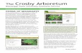 The Crosby Arboretum Crosby Arboretum Mississippi State University Extension Service “Ferns of Mississippi” is an online resource to help with the identification of native or naturalized